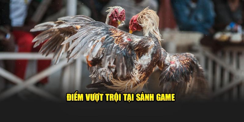 Điểm vượt trội tại sảnh game