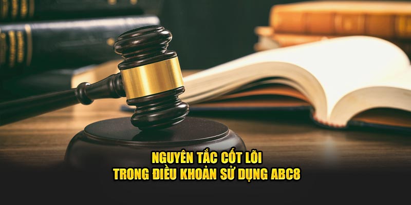 Nguyên tắc cốt lõi trong điều khoản sử dụng ABC8