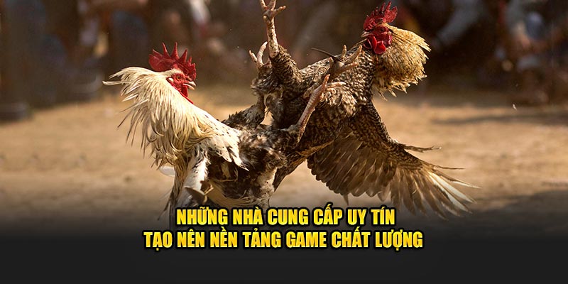 Những nhà cung cấp uy tín tạo nên nền tảng game chất lượng