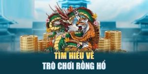 Rồng Hổ